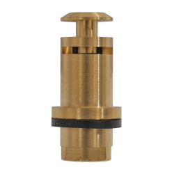 Valvola Umbria Equitazione per VA00063A 22202 Dorato Oro