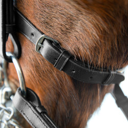 Briglia Weymouth Vienna Horze Briglia Weymouth Vienna Horze