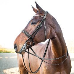 Briglia Weymouth Vienna Horze Briglia Weymouth Vienna Horze