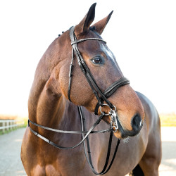 Briglia Weymouth Vienna Horze Briglia Weymouth Vienna Horze