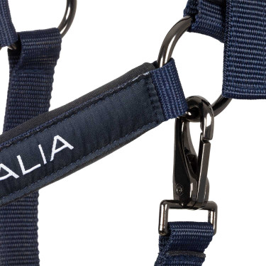 Capezzine Equestro x FISE foderate e regolabili Blazer marine Blu marino
