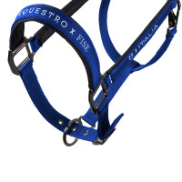 Capezzine Equestro x FISE foderate e regolabili Blu di Savoia