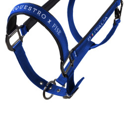 Capezzine Equestro x FISE foderate e regolabili Blu di Savoia