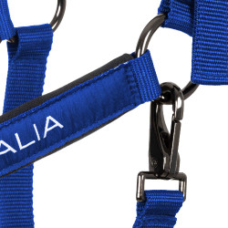 Capezzine Equestro x FISE foderate e regolabili Blu di Savoia