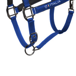 Capezzine Equestro x FISE foderate e regolabili Blu di Savoia