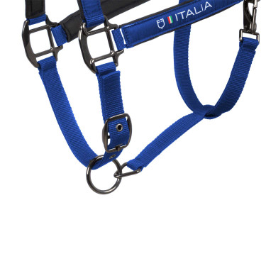 Capezzine Equestro x FISE foderate e regolabili Blu di Savoia