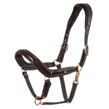 Capestro in pelle liscia Equestro con fibbie in oro rosa Marrone scuro Capestro in pelle liscia Equestro con fibbie in oro rosa Marrone scuro