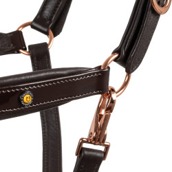 Capestro in pelle liscia Equestro con fibbie in oro rosa Marrone scuro Capestro in pelle liscia Equestro con fibbie in oro rosa Marrone scuro