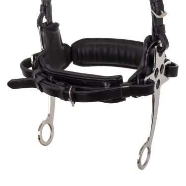 Filet hackamore Supreme Nero