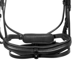 Briglia da equitazione Equestro con capezzina semplice