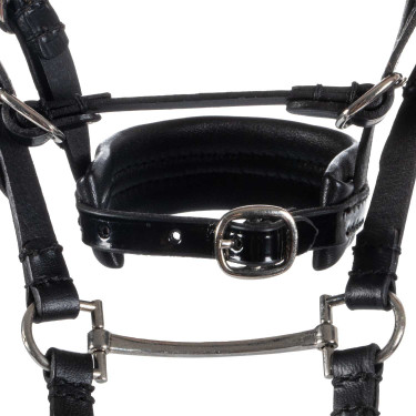Filet in pelle Equestro per cavallo giocattolo con borchie argentate Nero