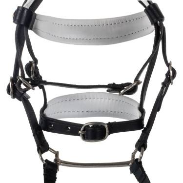 Briglia in cuoio Equestro con strass per cavallo giocattolo Nero Briglia in cuoio Equestro con strass per cavallo giocattolo Nero
