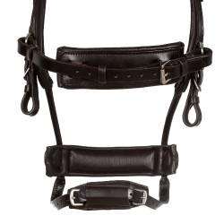 Briglia Comfitec Equestro anatomica in pelle Marrone scuro