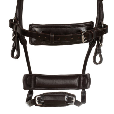 Briglia Comfitec Equestro anatomica in pelle Marrone scuro