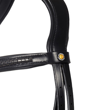 Briglia inglese Equestro nera in pelle Nero Briglia inglese Equestro nera in pelle Nero