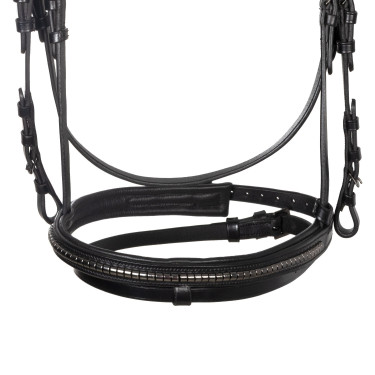 Briglia inglese Equestro nera in pelle Nero Briglia inglese Equestro nera in pelle Nero