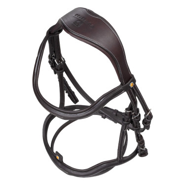 Briglia inglese in morbida pelle Equestro con impunture decorative Marrone scuro