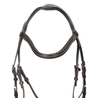 Testiera anatomica Equestro per equitazione con capezzina Testiera anatomica Equestro per equitazione con capezzina