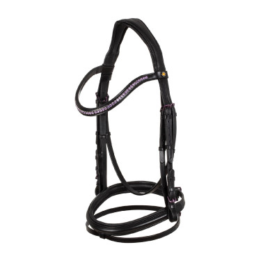 Briglia anatomica Equestro in pelle Nero