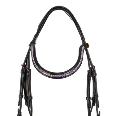 Briglia anatomica Equestro in pelle Nero