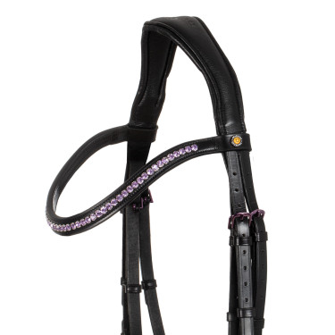 Briglia anatomica Equestro in pelle Nero
