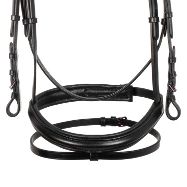 Briglia anatomica Equestro in pelle Nero