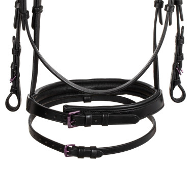 Briglia anatomica Equestro in pelle Nero