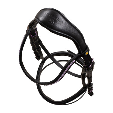 Briglia anatomica Equestro in pelle Nero