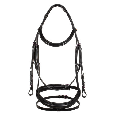 Briglia anatomica Equestro in pelle Nero