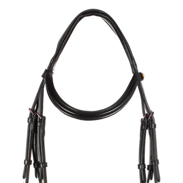 Briglia anatomica Equestro in pelle Nero