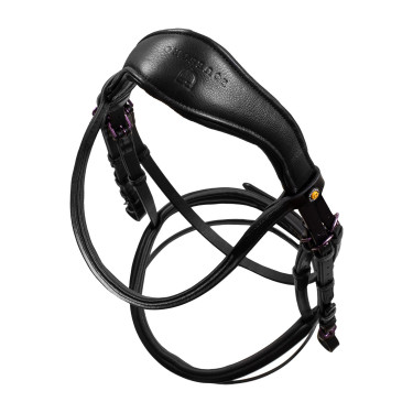 Briglia anatomica Equestro in pelle Nero