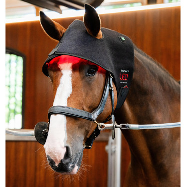Cuffia Terapia a Luce Rossa LED Horseware Nero / nero