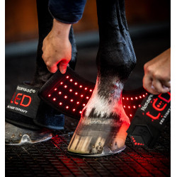 Mini Paragliera Terapeutica Horseware con Luce Rossa LED Nero / nero Mini Paragliera Terapeutica Horseware con Luce Rossa LED Nero / nero