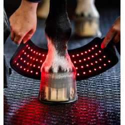 Mini Paragliera Terapeutica Horseware con Luce Rossa LED Nero / nero Mini Paragliera Terapeutica Horseware con Luce Rossa LED Nero / nero