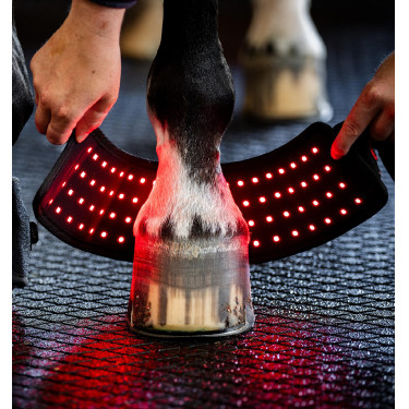 Mini Paragliera Terapeutica Horseware con Luce Rossa LED Nero / nero Mini Paragliera Terapeutica Horseware con Luce Rossa LED Nero / nero