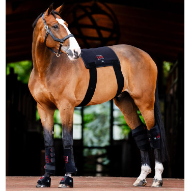 Mini Paragliera Terapeutica Horseware con Luce Rossa LED Nero / nero Mini Paragliera Terapeutica Horseware con Luce Rossa LED Nero / nero