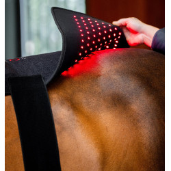 Tappetino terapeutico a luce rossa LED Horseware Nero / nero