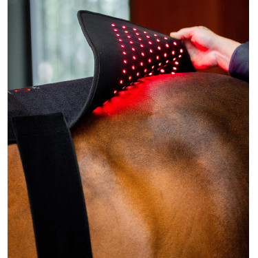 Tappetino terapeutico a luce rossa LED Horseware Nero / nero