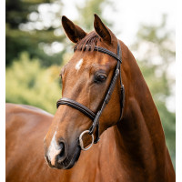 Briglia Horseware Hunter Marrone / havana