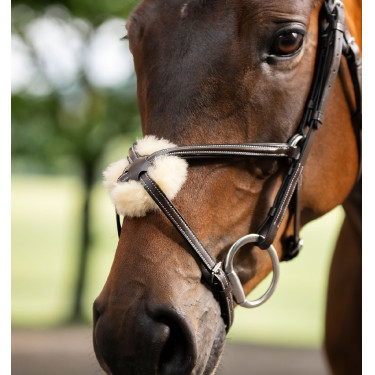 Briglia Grackle a forma di 8 Horseware con capezzina incrociata Marrone Briglia Grackle a forma di 8 Horseware con capezzina incrociata Marrone