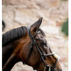 Briglia Grackle a forma di 8 Horseware con capezzina incrociata Marrone Briglia Grackle a forma di 8 Horseware con capezzina incrociata Marrone