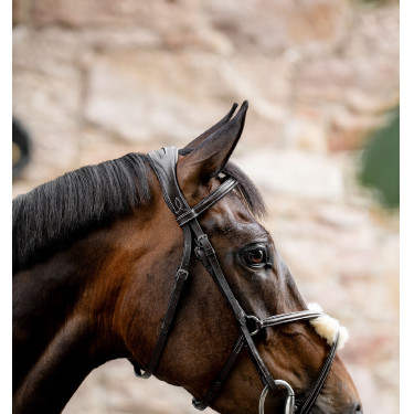Briglia Grackle a forma di 8 Horseware con capezzina incrociata Marrone Briglia Grackle a forma di 8 Horseware con capezzina incrociata Marrone