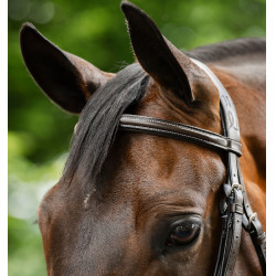 Briglia Grackle a forma di 8 Horseware con capezzina incrociata Marrone Briglia Grackle a forma di 8 Horseware con capezzina incrociata Marrone