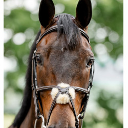 Briglia Grackle a forma di 8 Horseware con capezzina incrociata Marrone Briglia Grackle a forma di 8 Horseware con capezzina incrociata Marrone