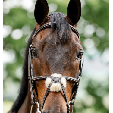 Briglia Grackle a forma di 8 Horseware con capezzina incrociata Marrone Briglia Grackle a forma di 8 Horseware con capezzina incrociata Marrone
