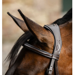 Briglia Grackle a forma di 8 Horseware con capezzina incrociata Marrone Briglia Grackle a forma di 8 Horseware con capezzina incrociata Marrone