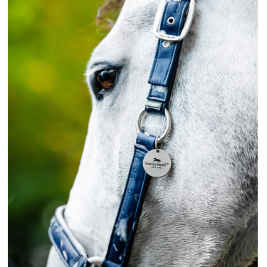 Capezzina da grooming Horseware Marina Blu marino