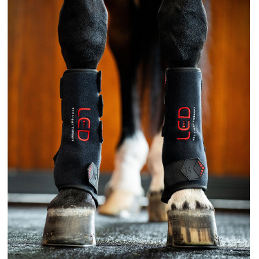 Stinchiere terapeutici Horseware con luce rossa a LED Nero / nero