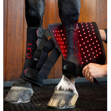 Stinchiere terapeutici Horseware con luce rossa a LED Nero / nero