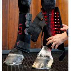 Stinchiere terapeutici Horseware con luce rossa a LED Nero / nero